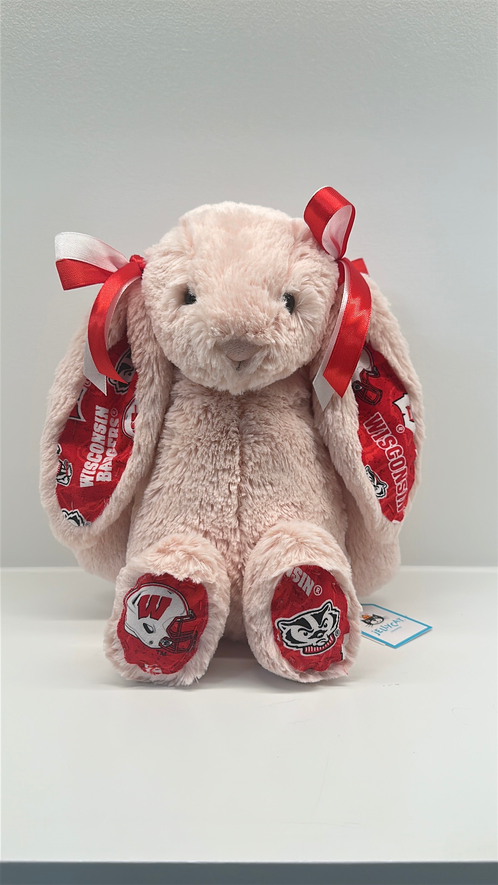 University of Wisconsin Custom College Jellycat Bashful Bunny