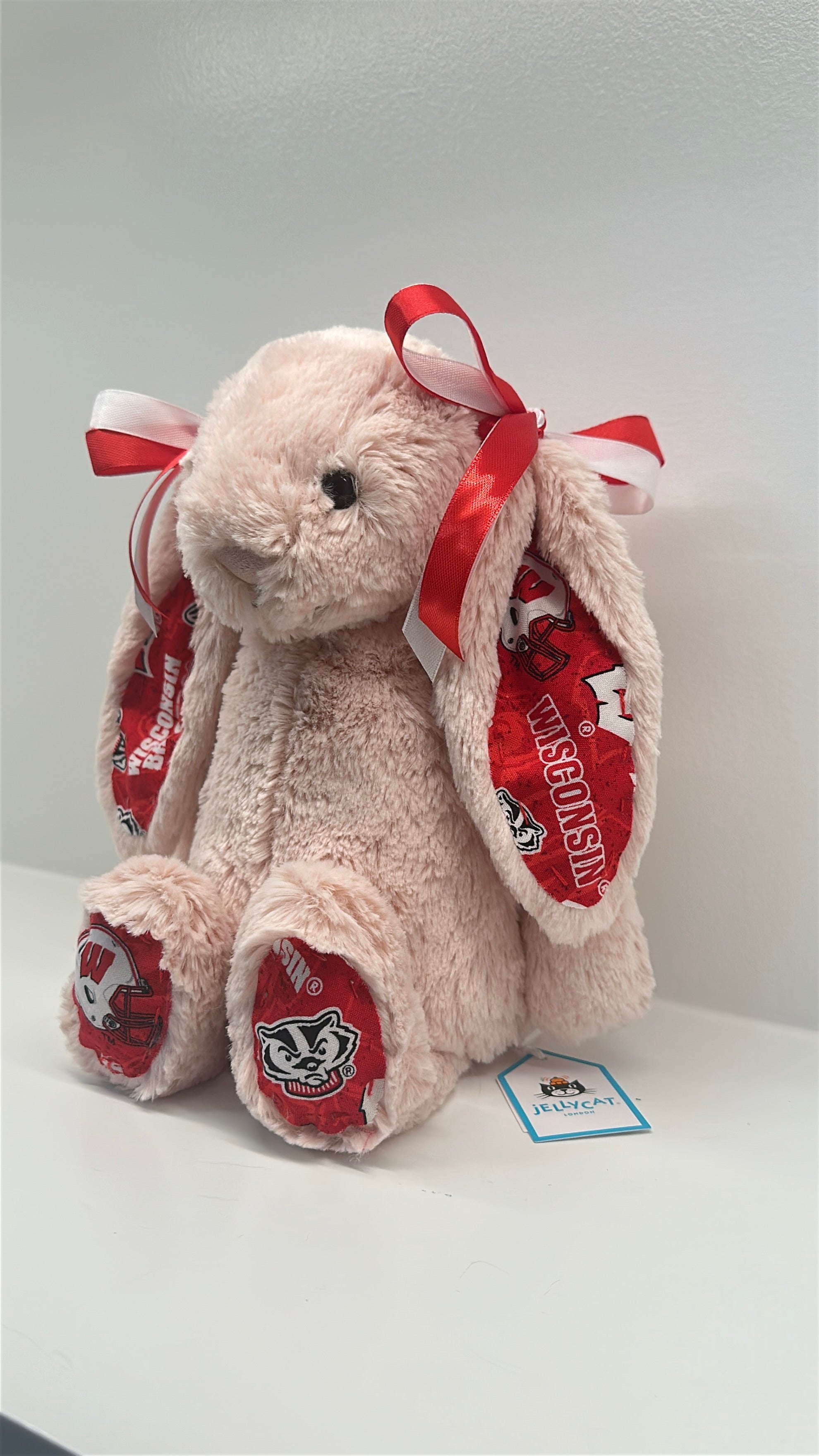 University of Wisconsin Custom College Jellycat Bashful Bunny