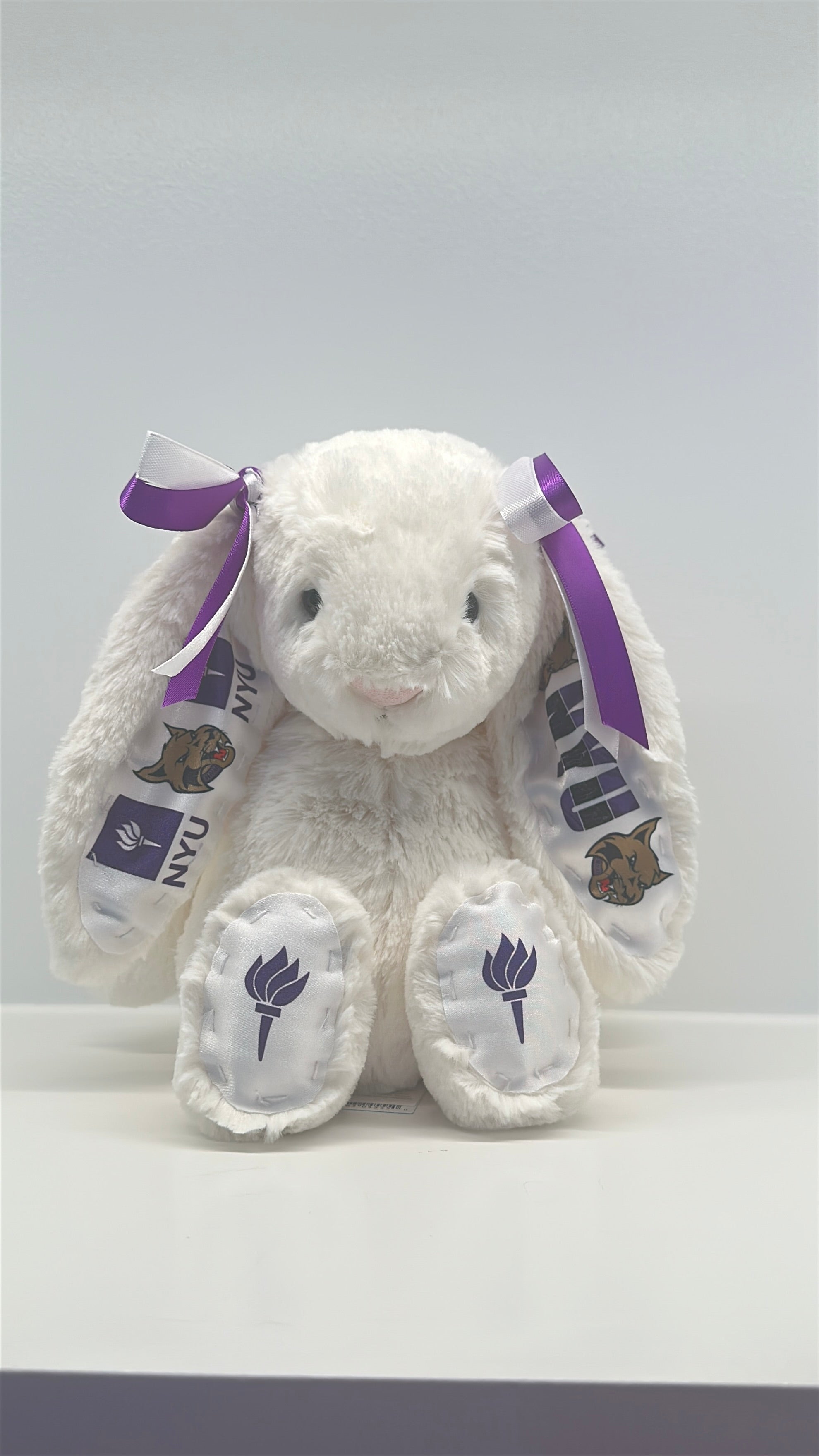 Custom College Jellycat Bashful Bunny