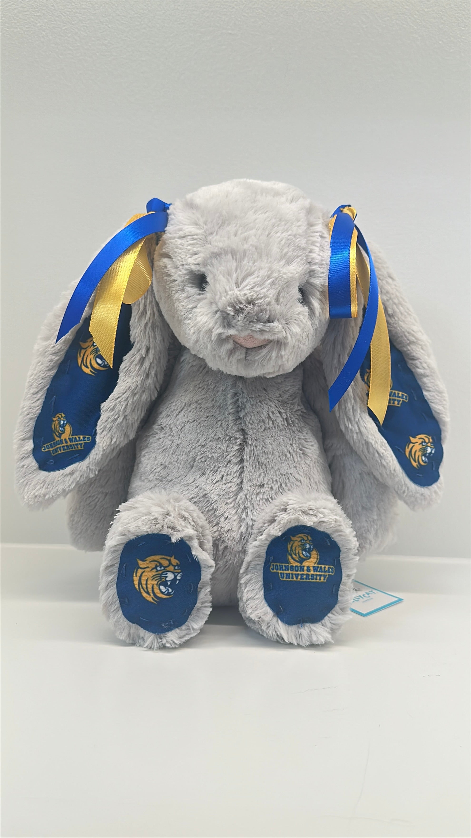 Gray plush bunny with blue and gold ribbons on a white background Johnson and Wales University
