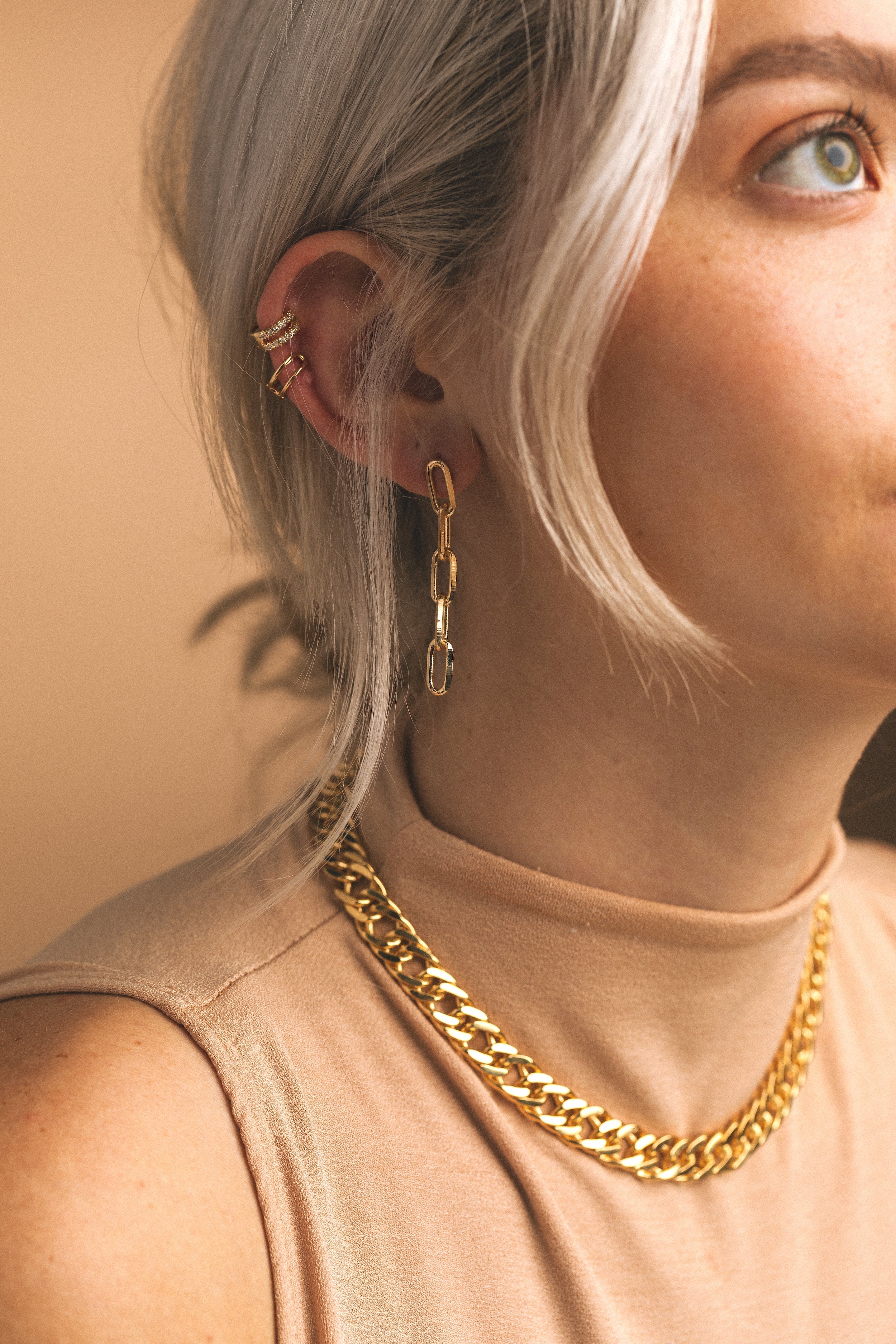 Views & Co. PaperClip Link Earrings
