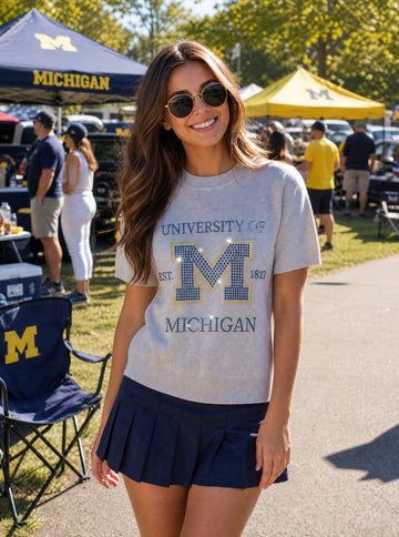 University of Michigan Est 1817 Grey Short Sleeve Sweater