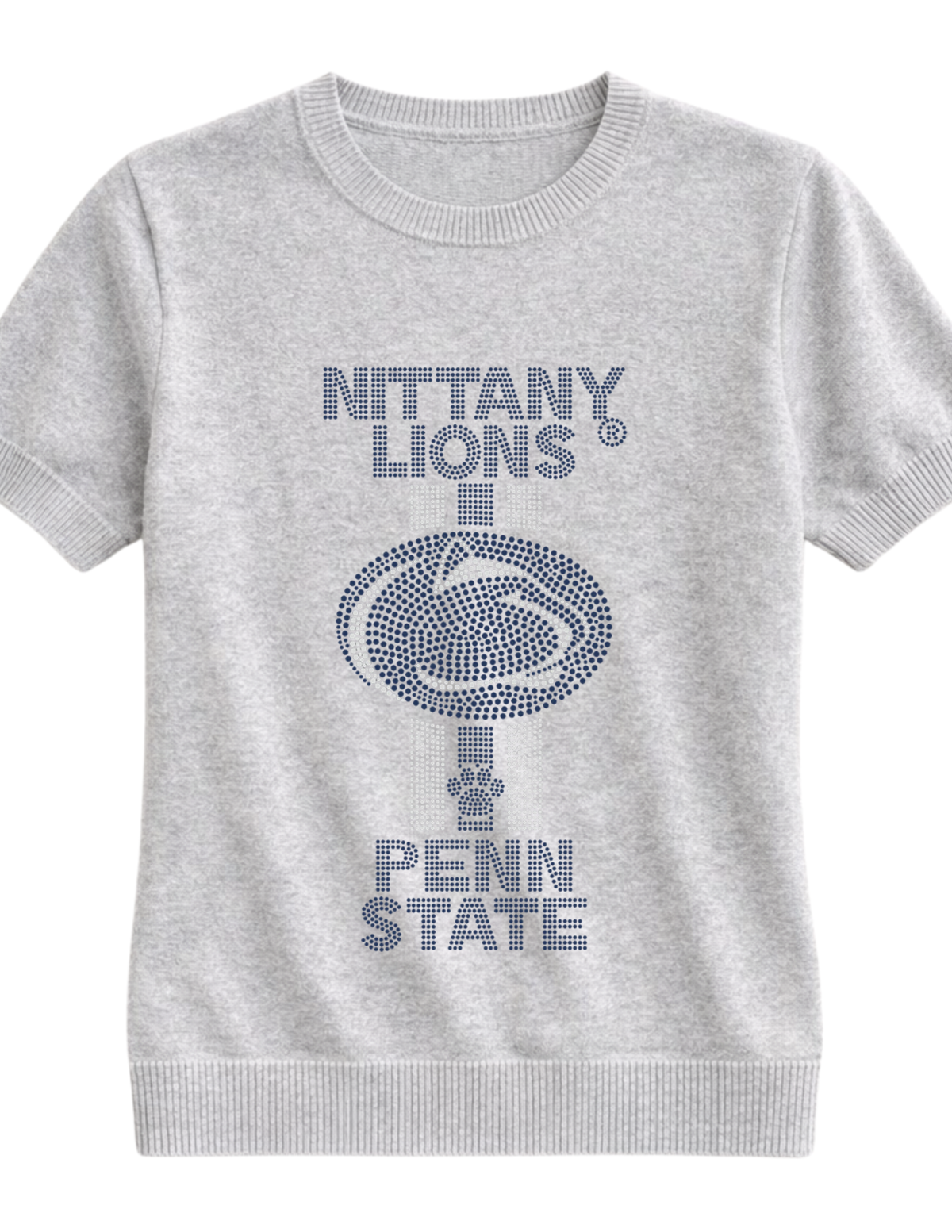 Penn State Nittany Lion Stripes Gray Short Sleeve Sweater