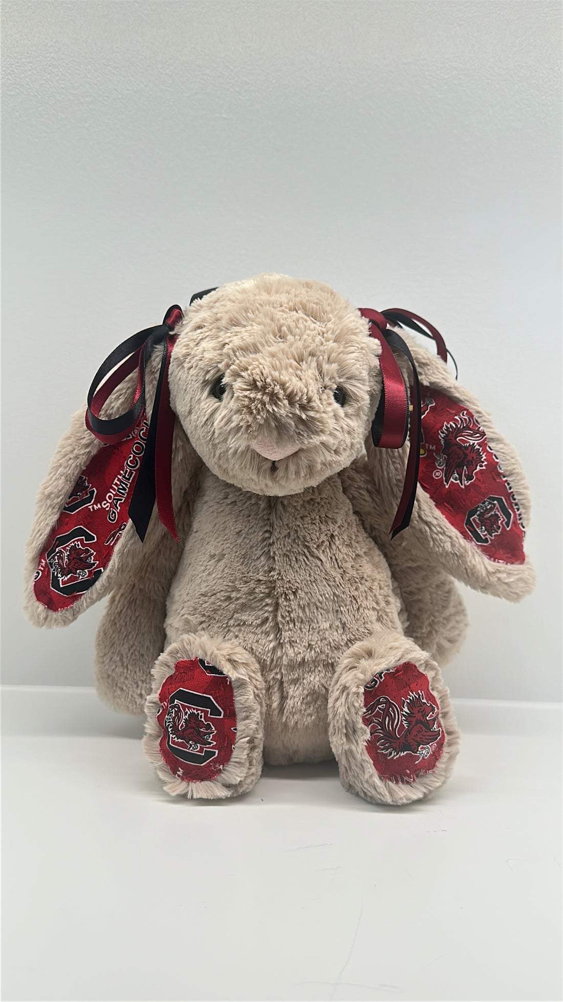 University of South Carolina