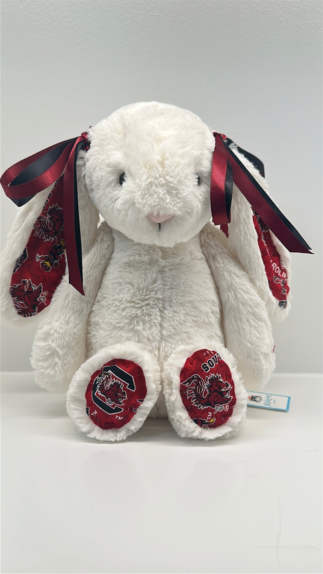 University of South Carolina