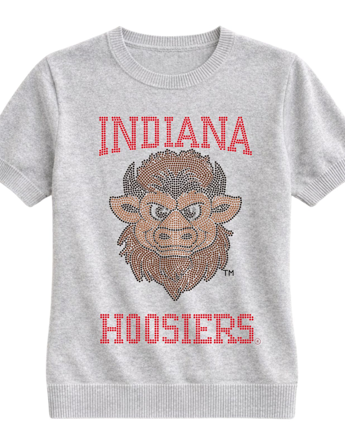 Indiana University Hoosiers Vintage Bison Head Gray Short Sleeve Sweater
