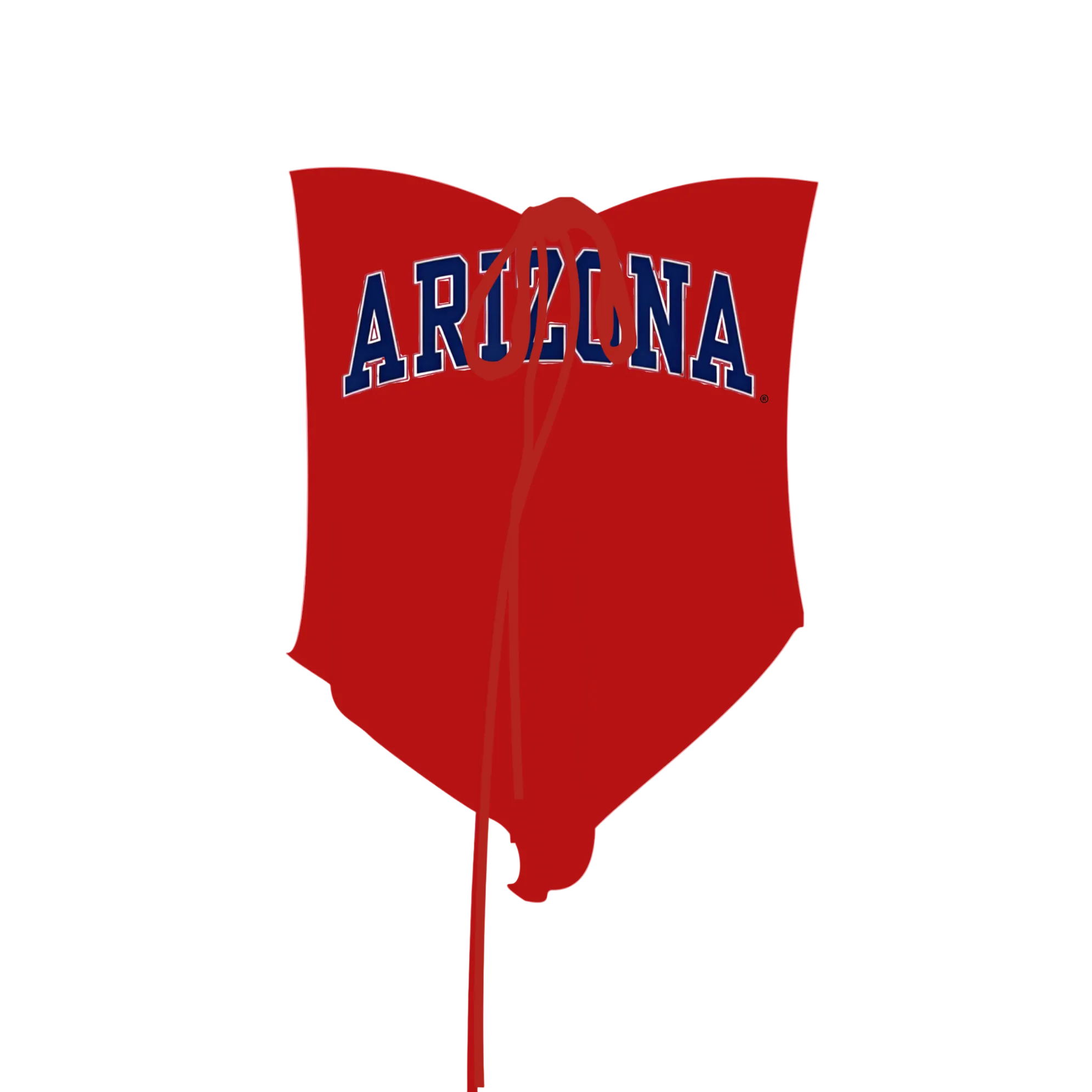 Arizona Sweetheart Tube Top