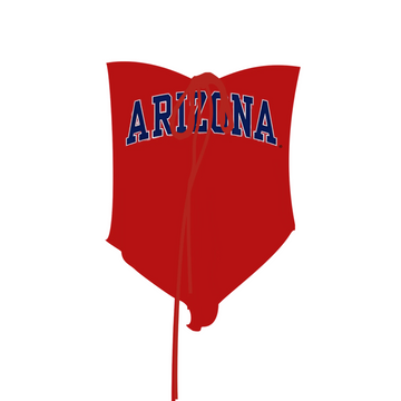 Arizona Sweetheart Tube Top