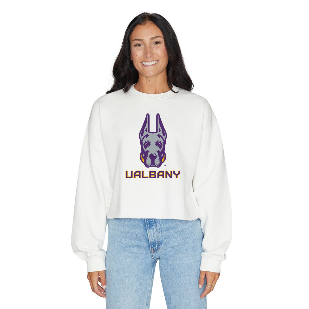 University at Albany Crewneck