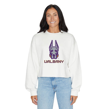 University at Albany Crewneck