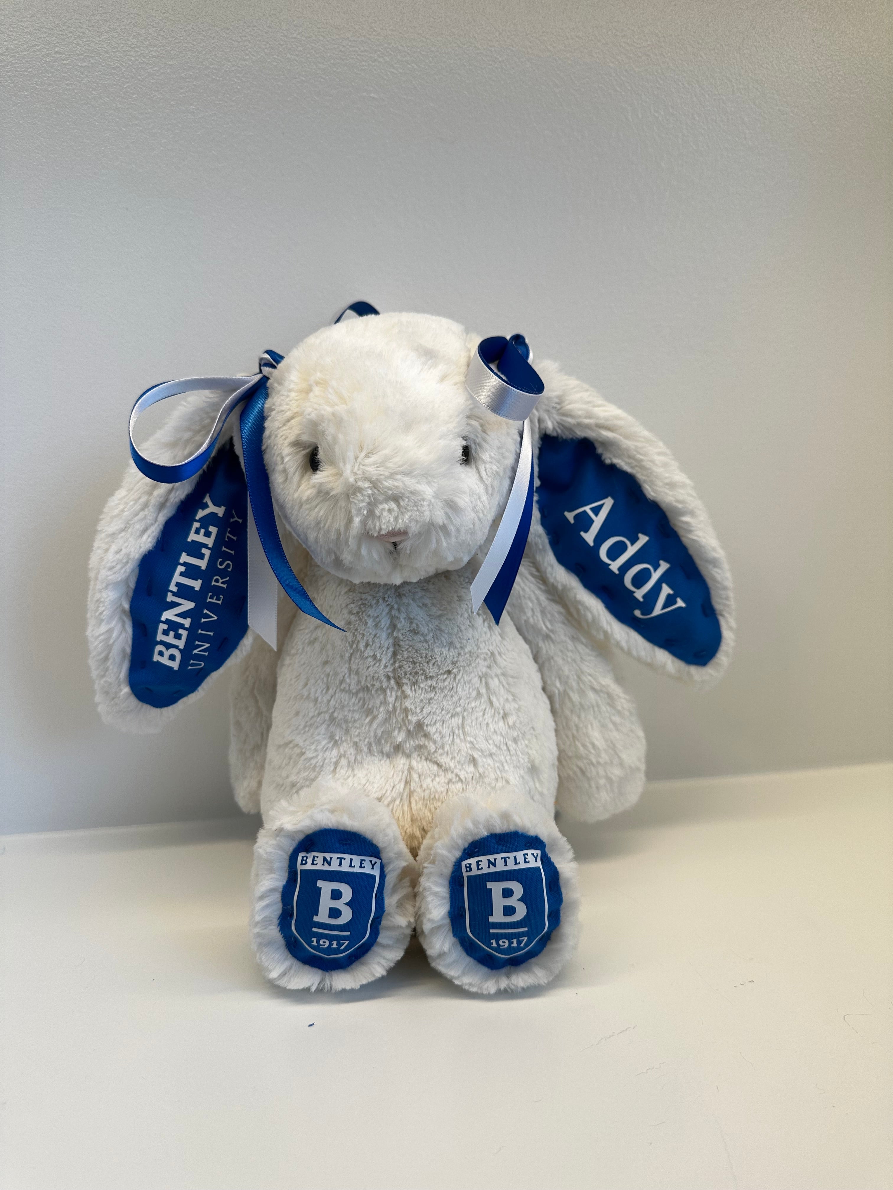 Custom College Jellycat Bashful Bunny