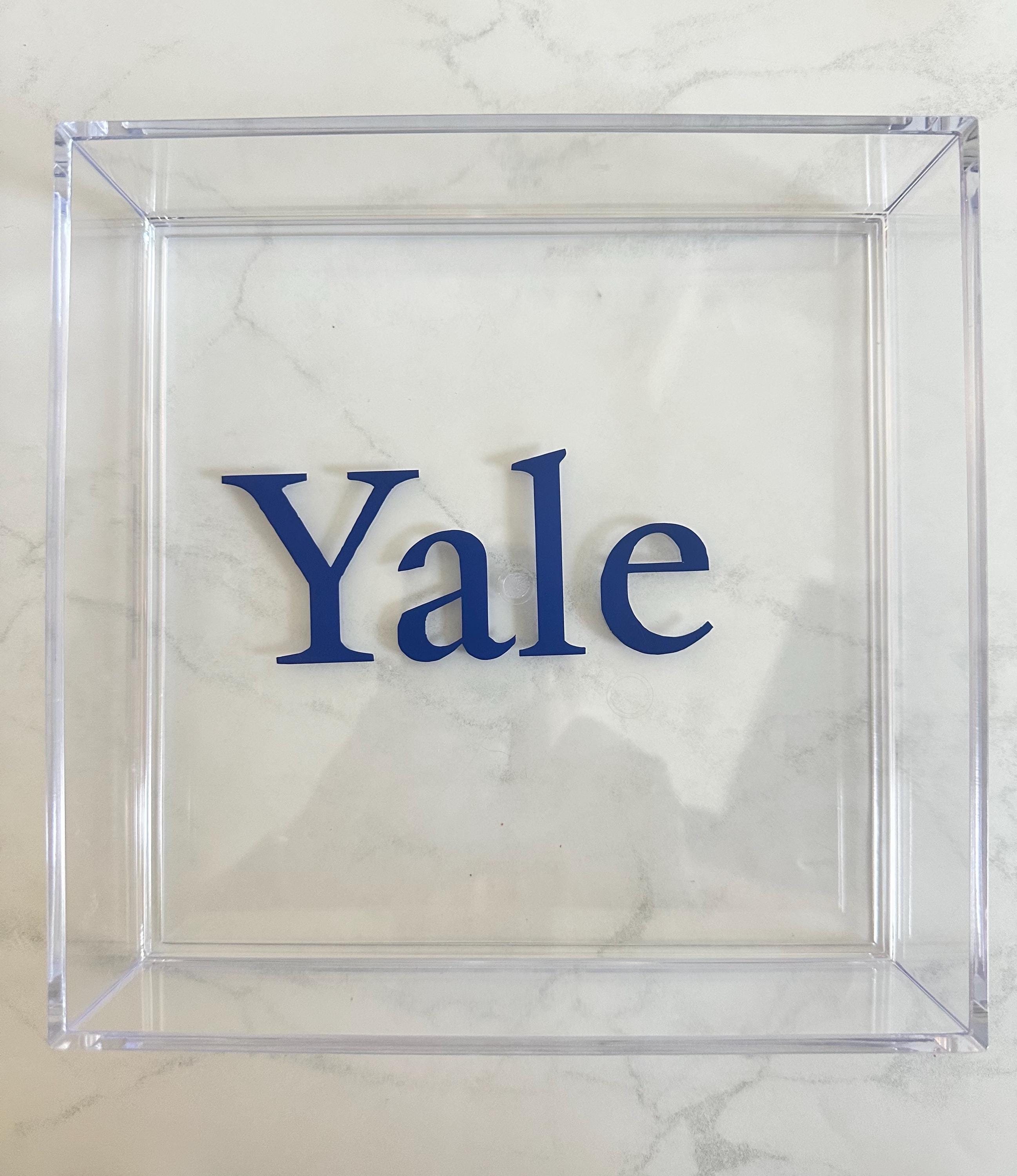 Customizable Acrylic Trays, College Acceptance Gifts, Personalized Graduation Gift, College Gifts, High School Graduation Gift, College Merch, Dorm Decor