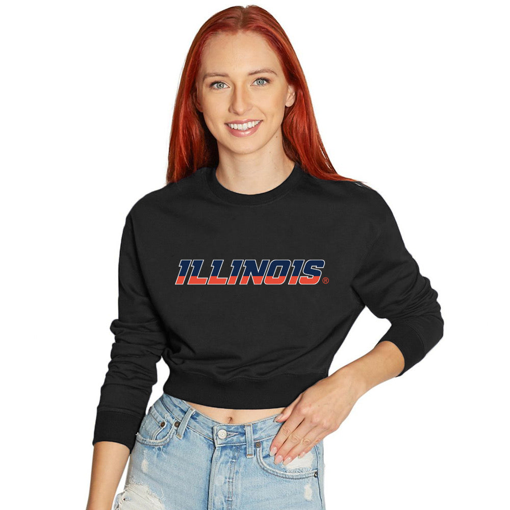Illinois Fighting Illini Pullover Crewneck