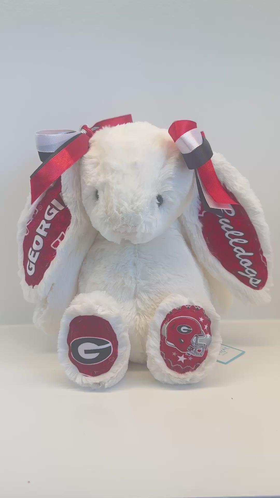 University of Georgia Custom College Jellycat Bashful Bunny