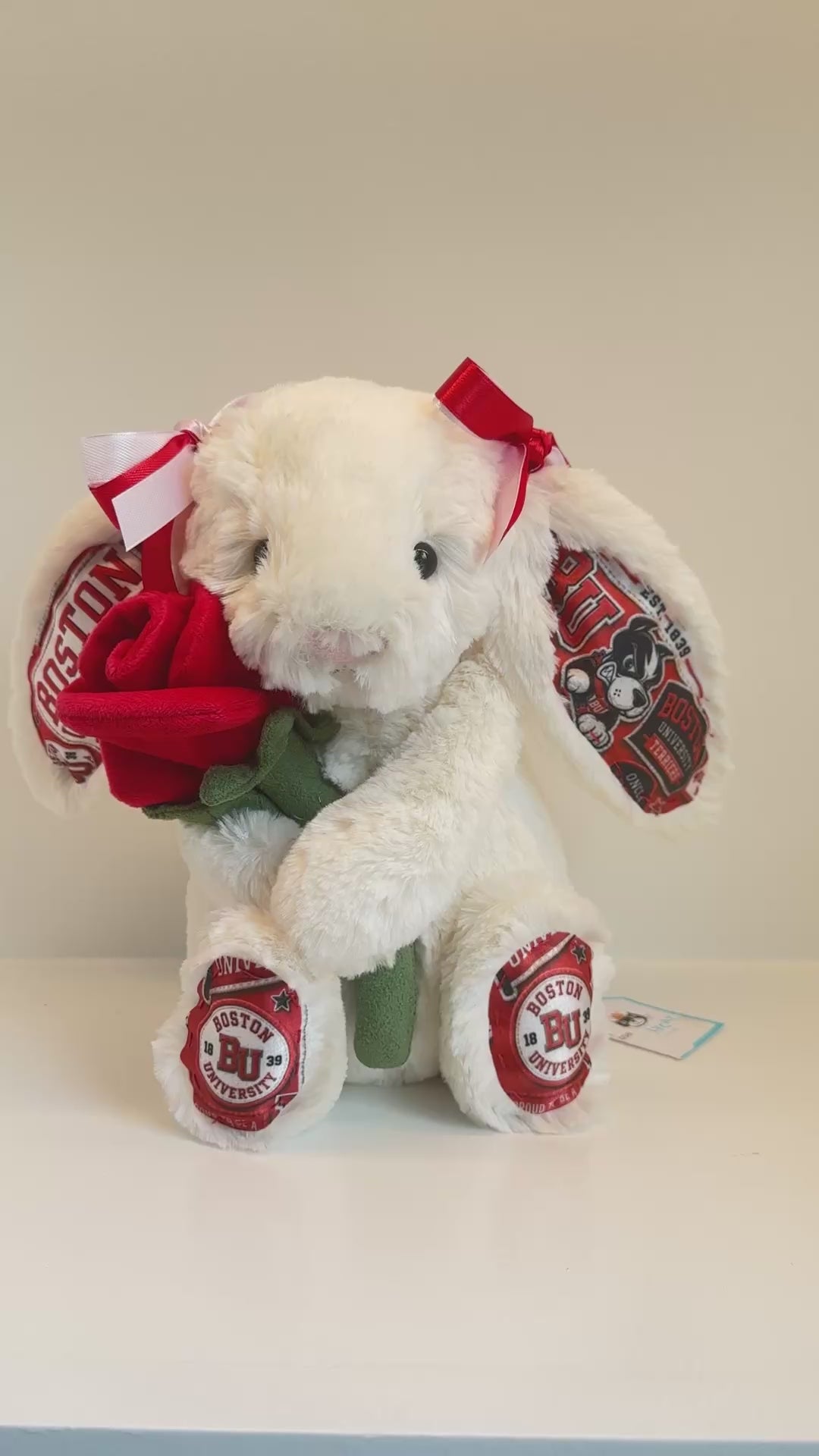 Boston University Custom College Jellycat Bashful Bunny