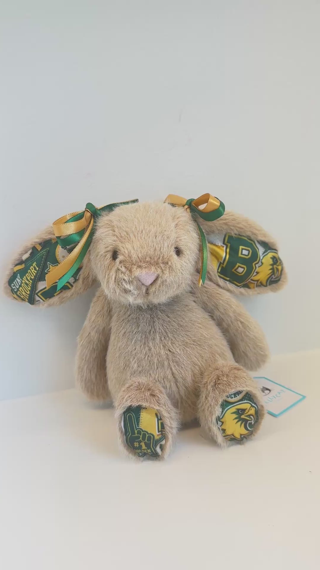 State University of New York Brockport (SUNY) Fully Custom College Jellycat Bunny