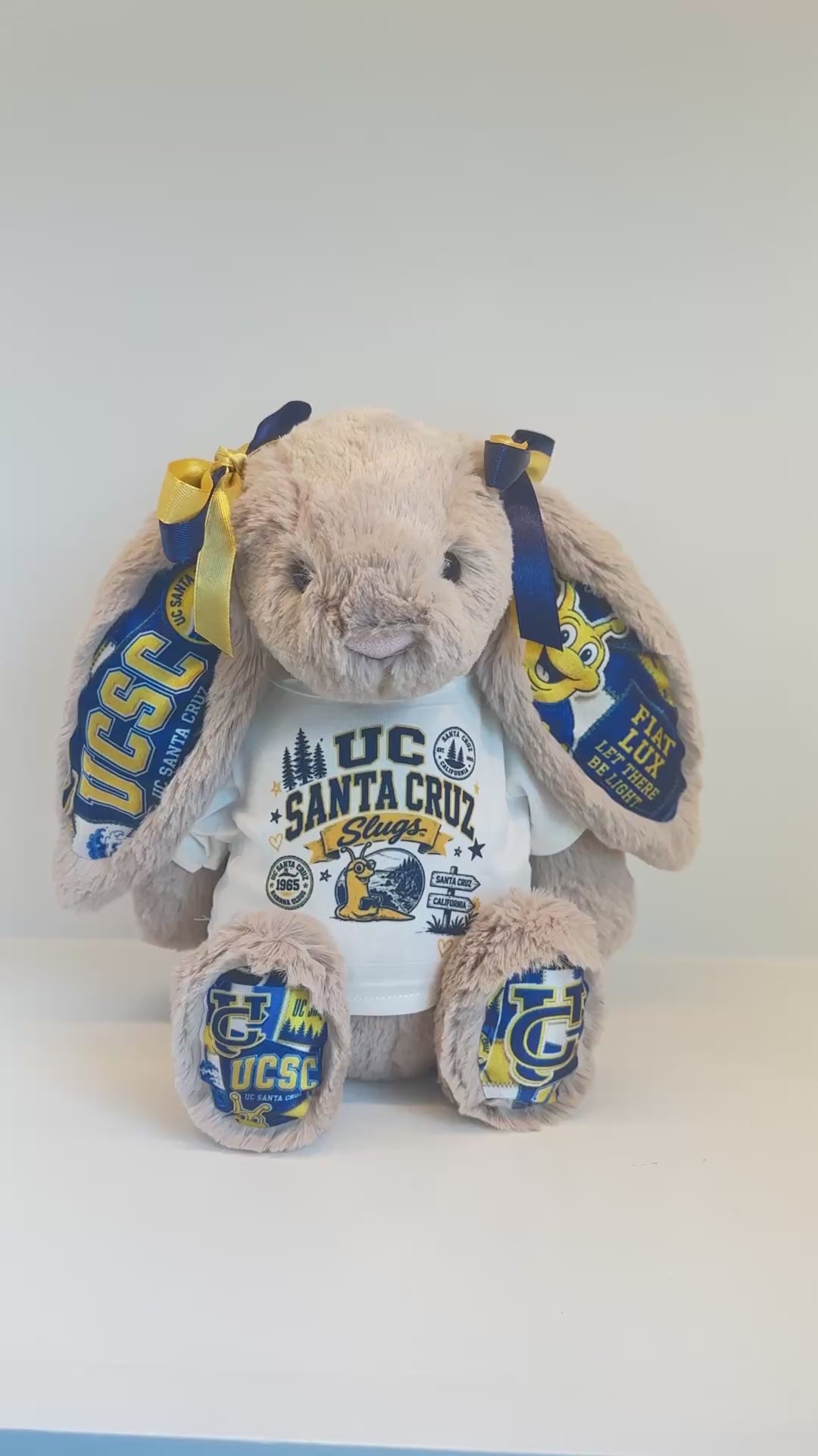 University of California Santa Cruz (UCSC)  Fully Custom College Jellycat Bunny