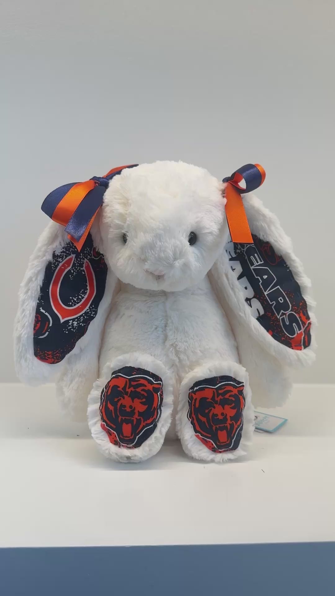 Custom Professional Sports Team Jellycat Bunny (NBA, NFL, NHL, MLB)