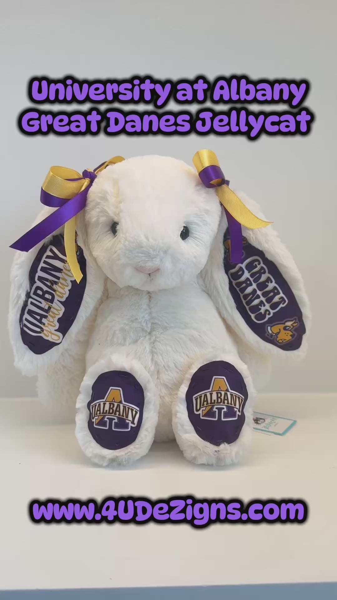 Albany University (SUNY) Custom College Jellycat Bashful Bunny