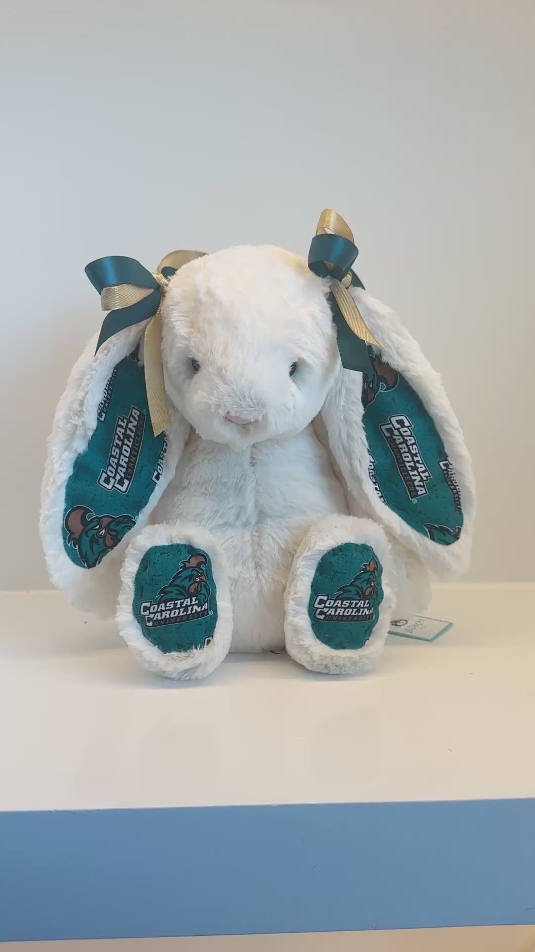 Coastal Carolina University Custom College Jellycat Bashful Bunny