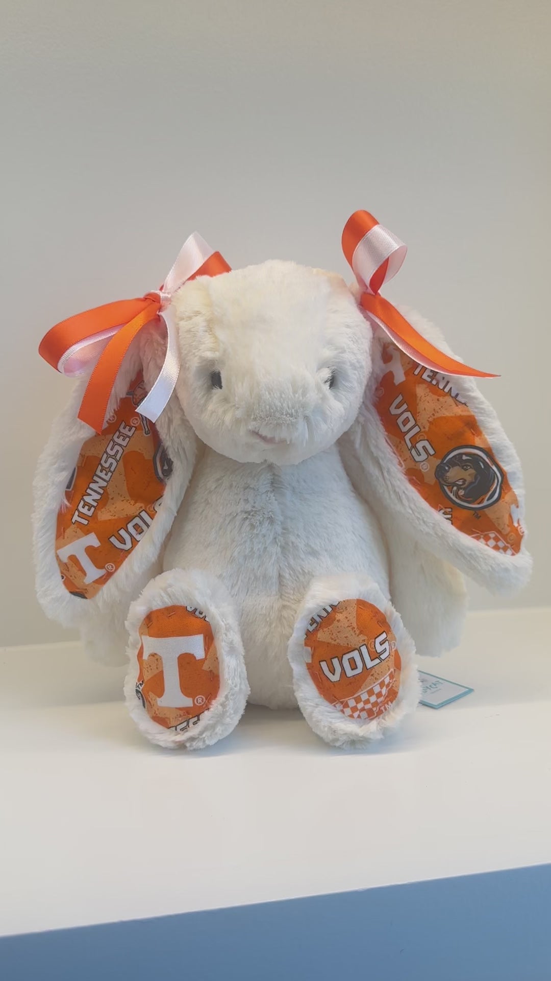 University of Tennessee Custom College Jellycat Bashful Bunny
