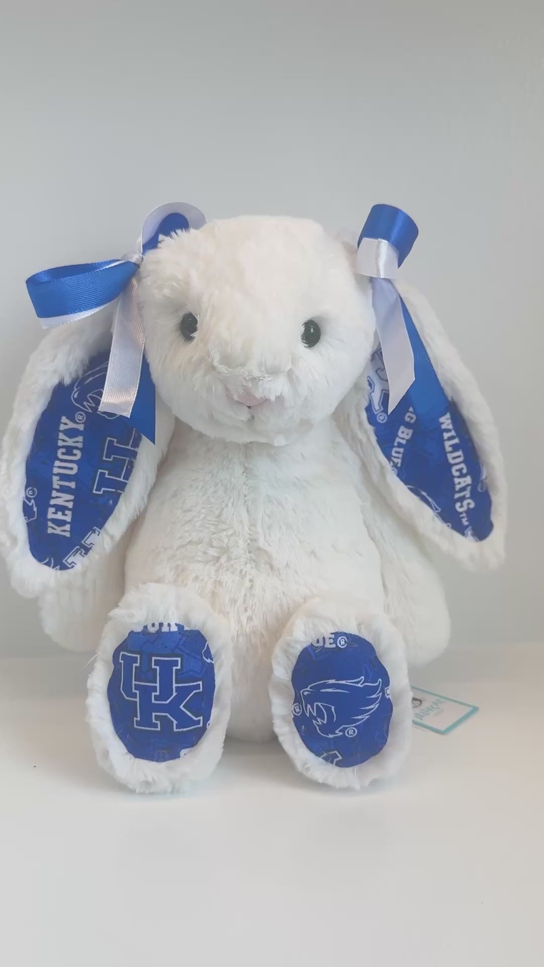 University of Kentucky Custom College Jellycat Bashful Bunny