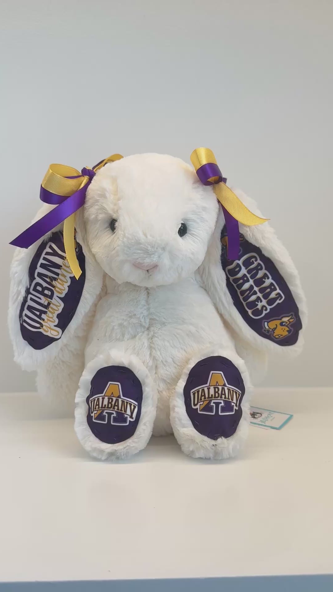 University at Albany Custom College Jellycat Bashful Bunny – 4U