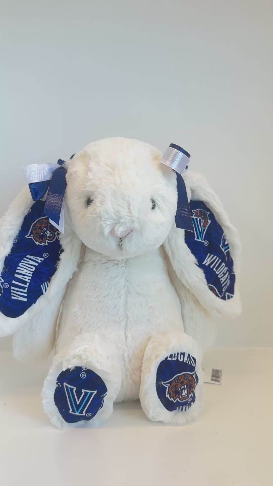 Villanova Custom College Jellycat Bashful Bunny
