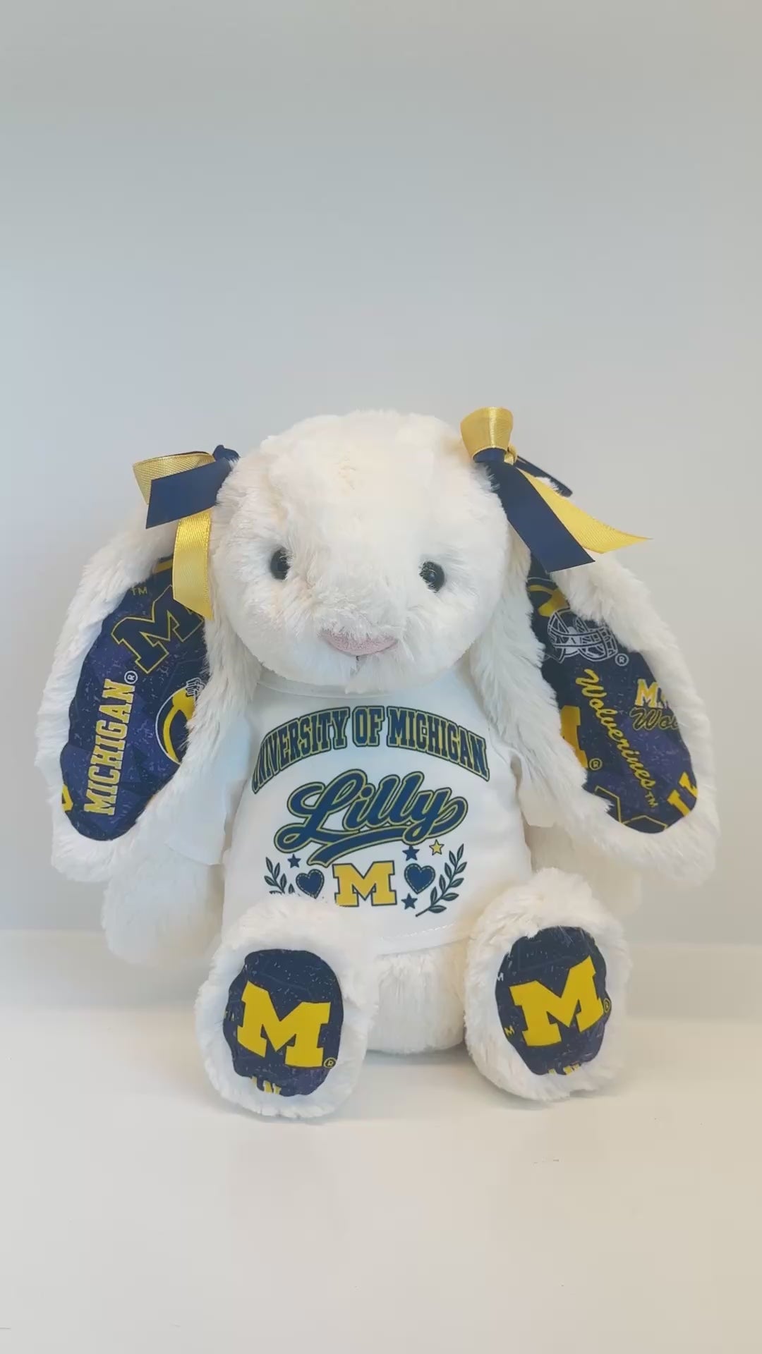 Custom College Plush