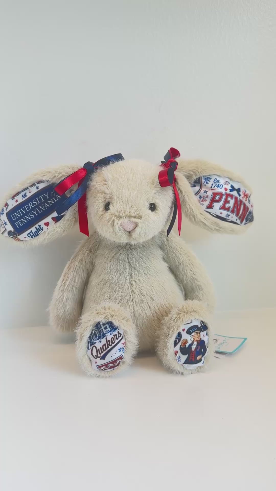 University of Pennslyvania Fully Custom College Jellycat Bunny