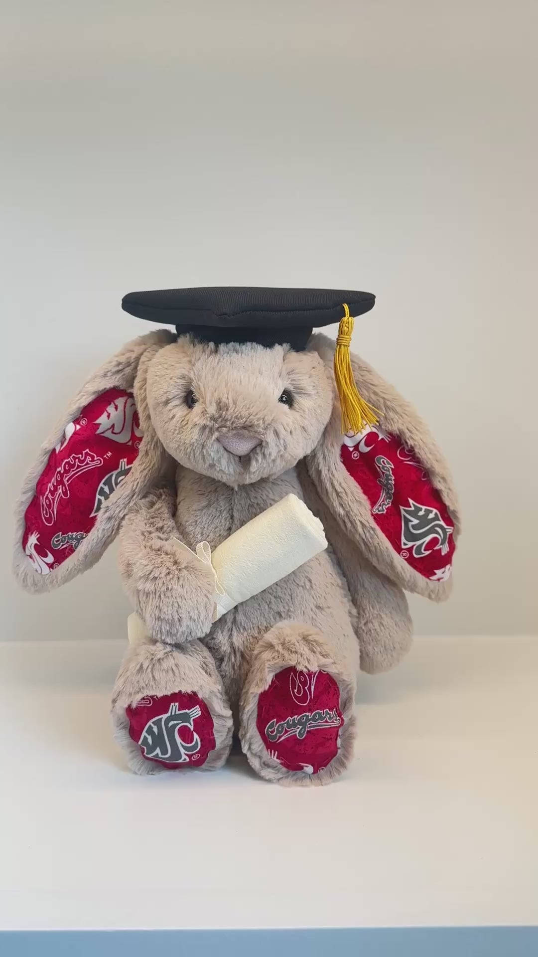 Washington State University College Jellycat Bunny