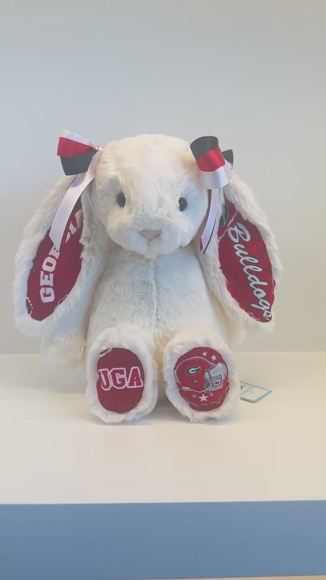 University of Georgia Custom College Jellycat Bashful Bunny