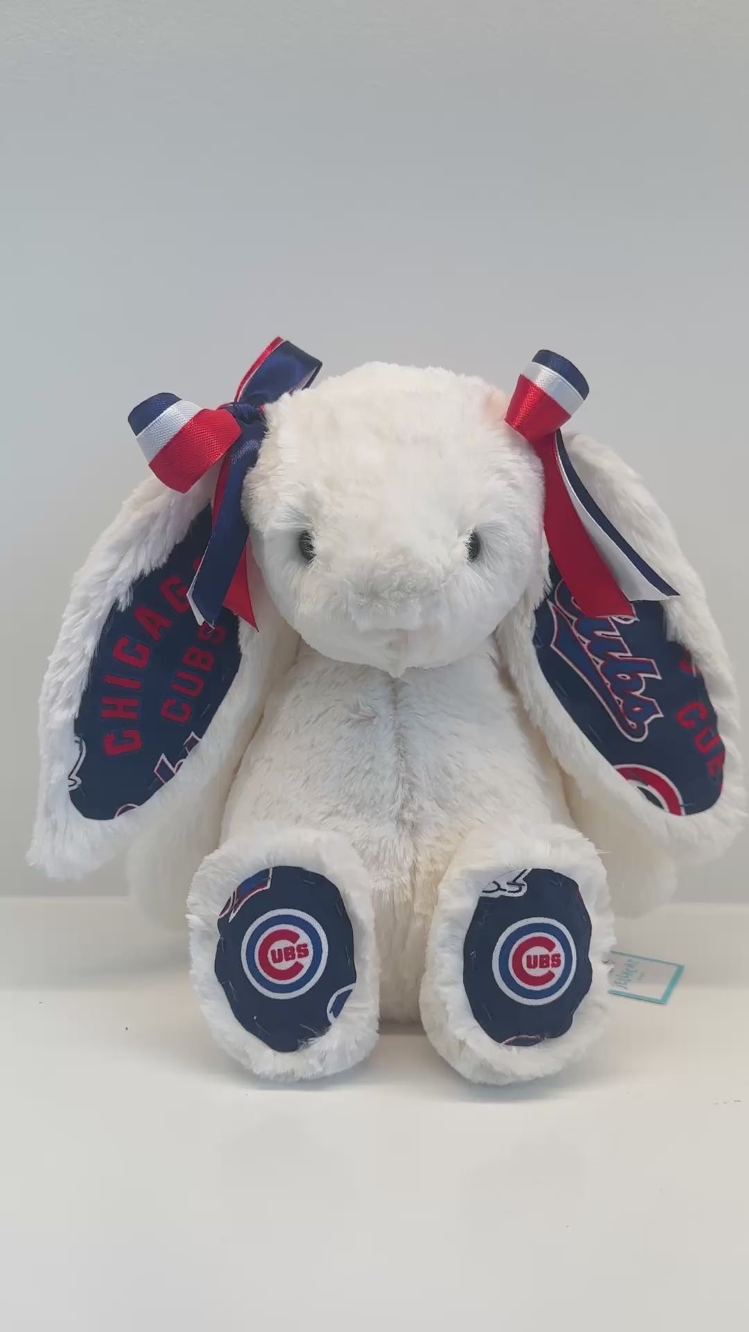 Custom Professional Sports Team Jellycat Bunny (NBA, NFL, NHL, MLB)