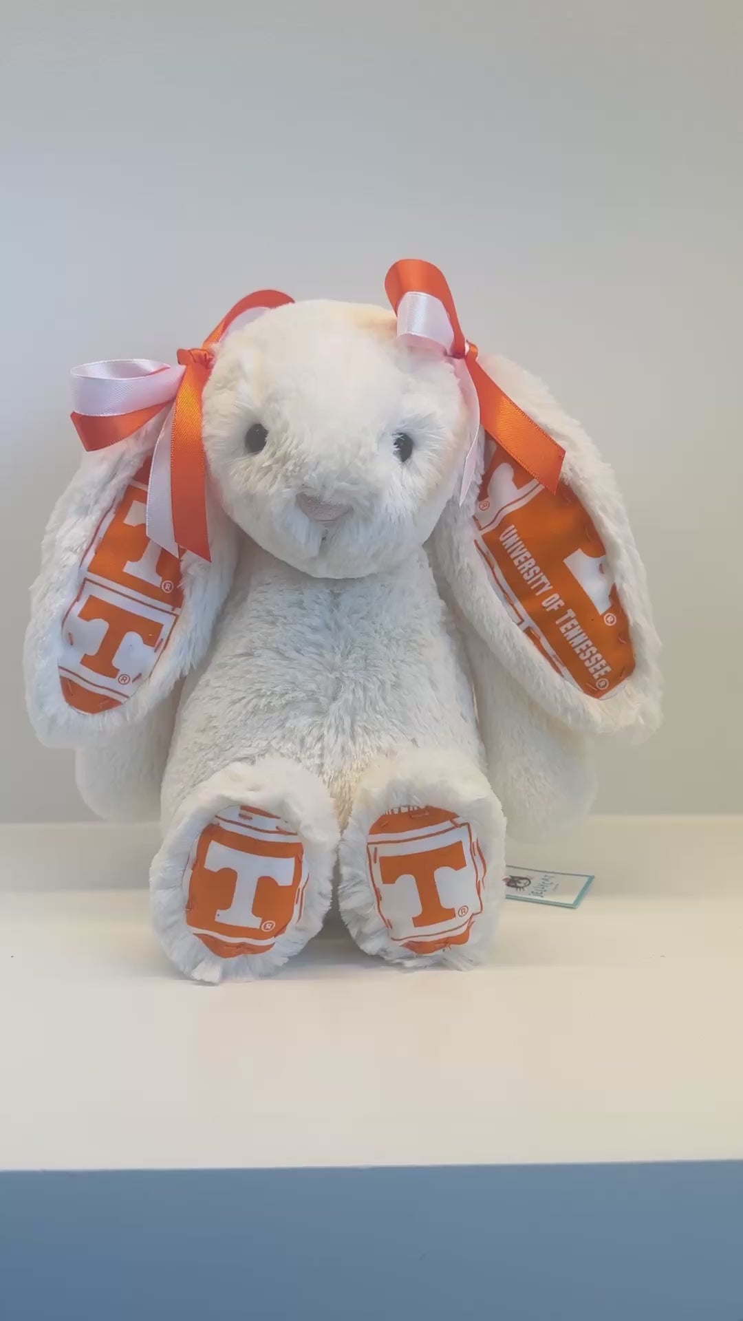 University of Tennessee Custom College Jellycat Bashful Bunny