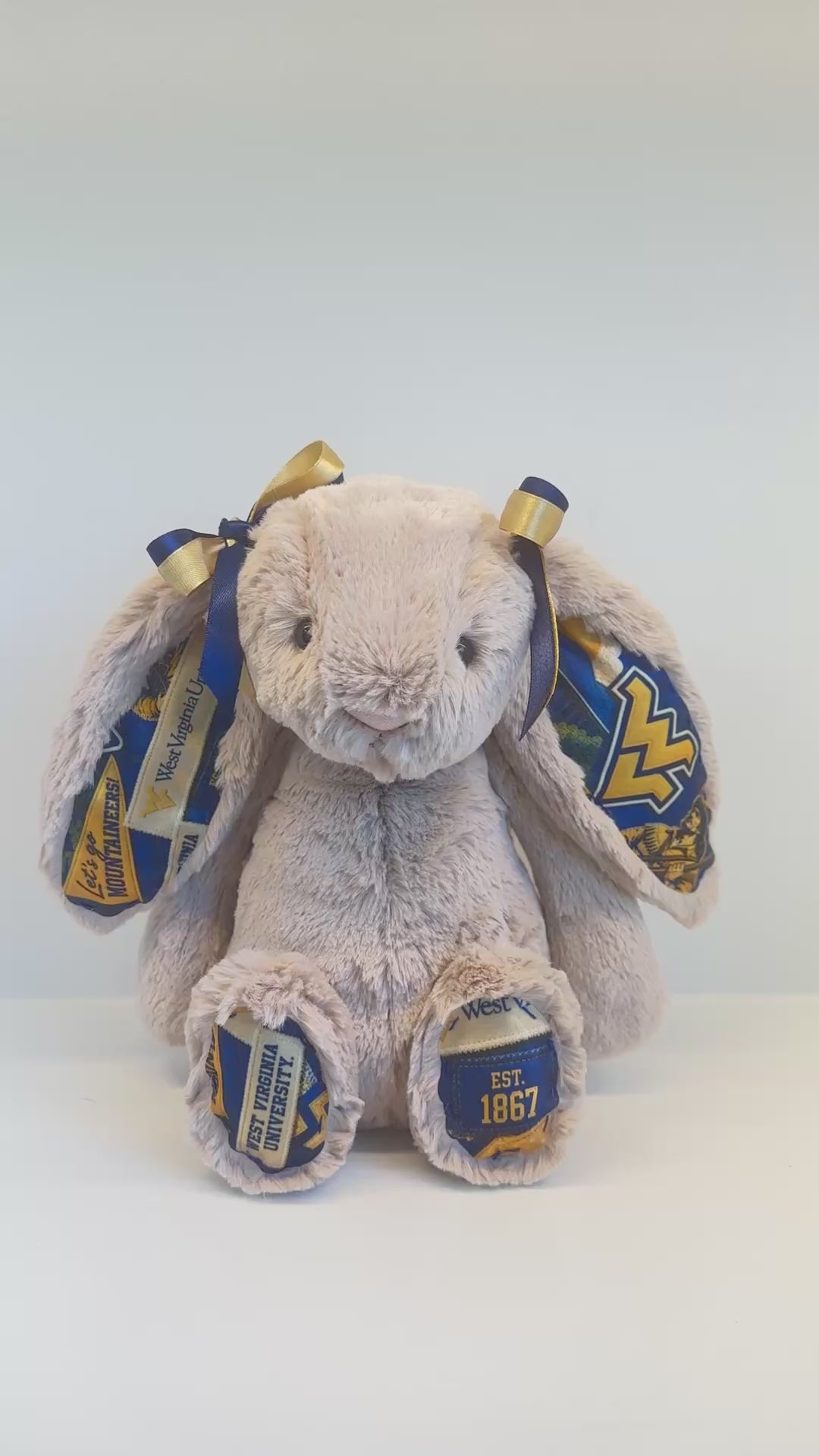 Custom College Plush