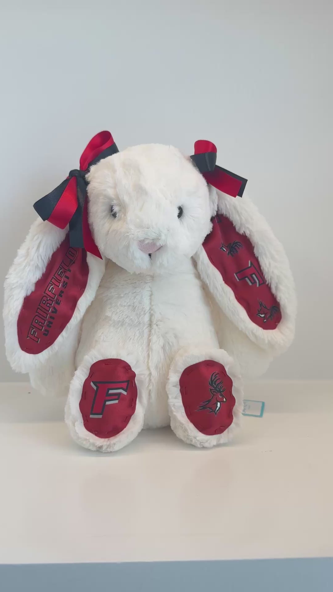 Fairfield University Custom College Jellycat Bashful Bunny