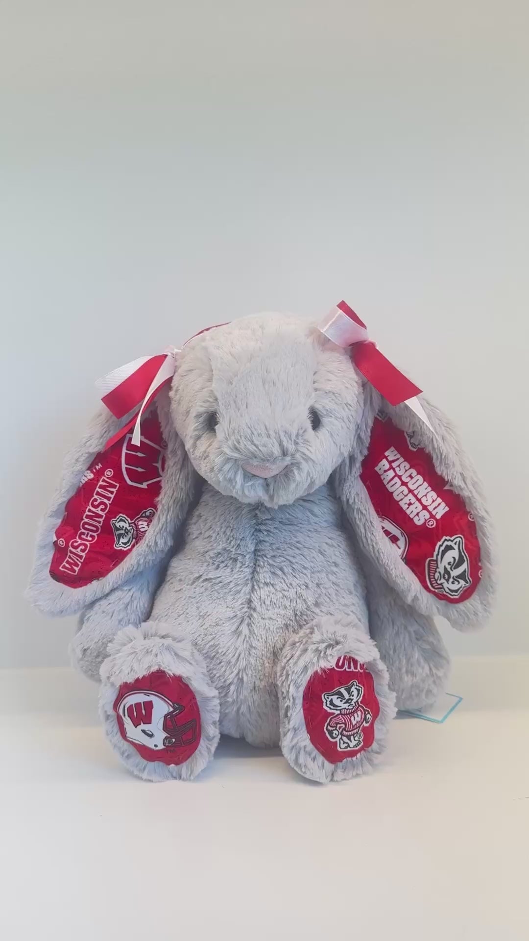 Custom College Plush