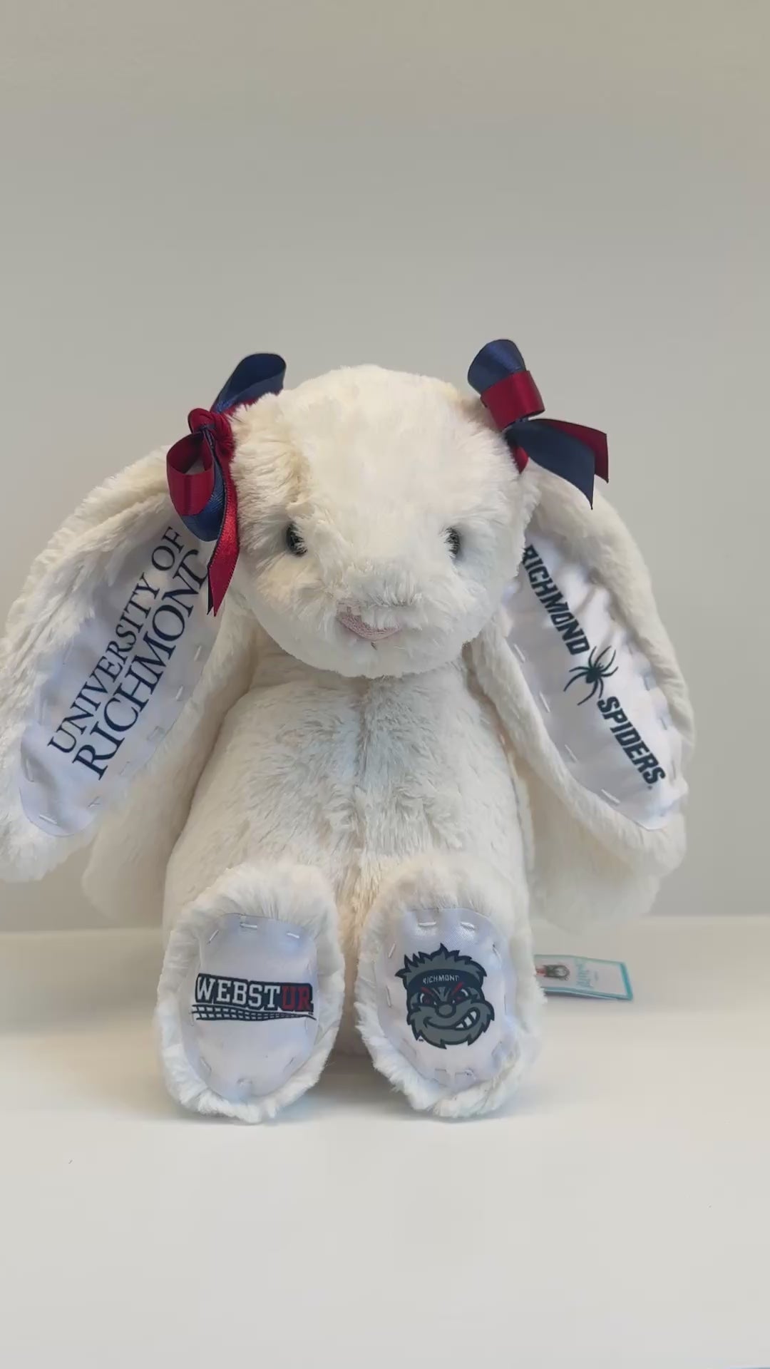 University of Richmond Custom College Jellycat Bashful Bunny