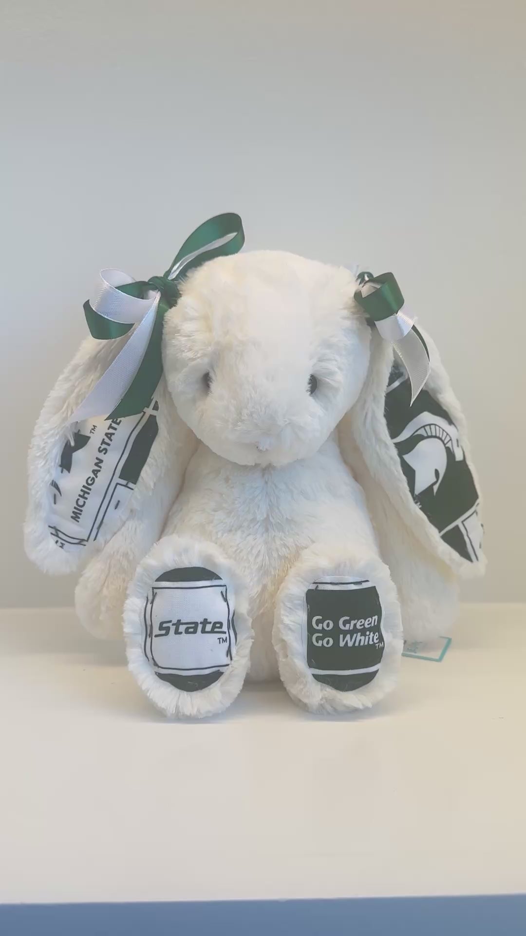 Michigan State University Custom College Jellycat Bashful Bunny