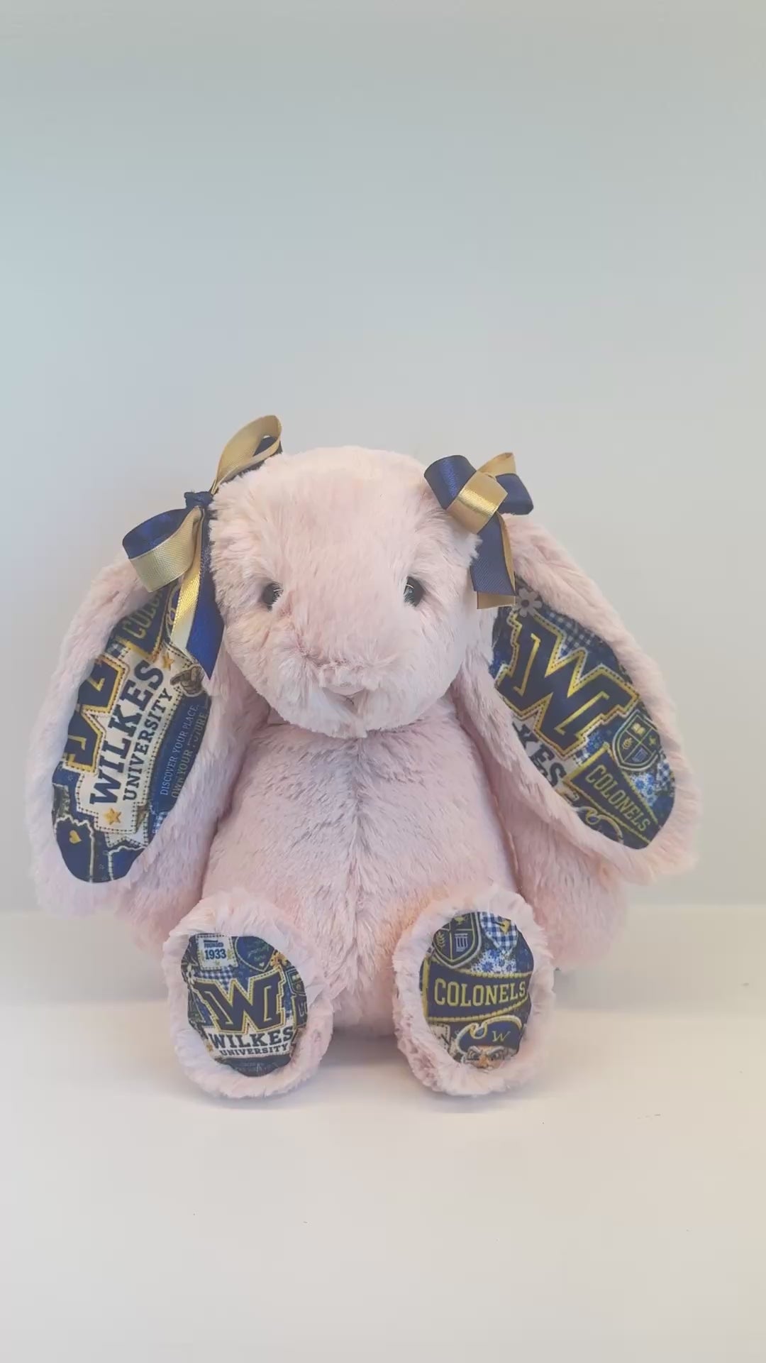 Wilkes University Fully Custom College Jellycat Bunny