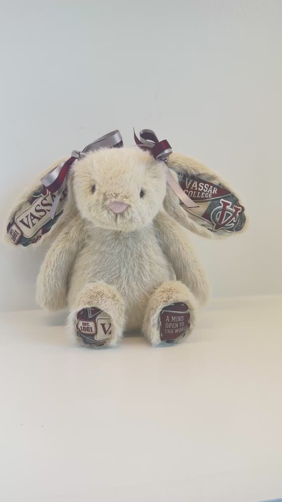 Vassar College Jellycat Plush