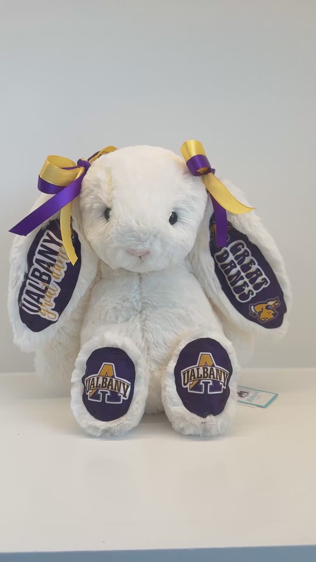 University at Albany Custom College Jellycat Bashful Bunny