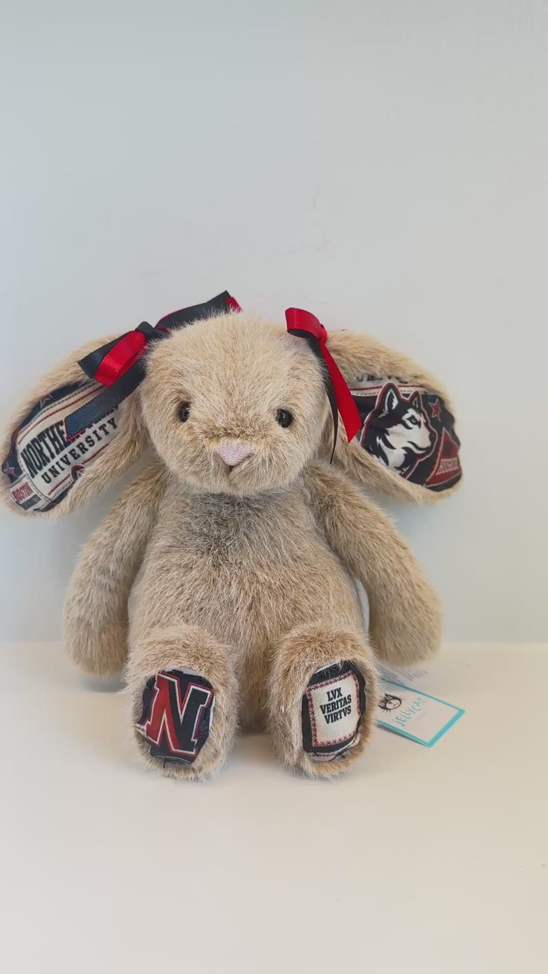 Northeastern University Custom College Jellycat Bunny