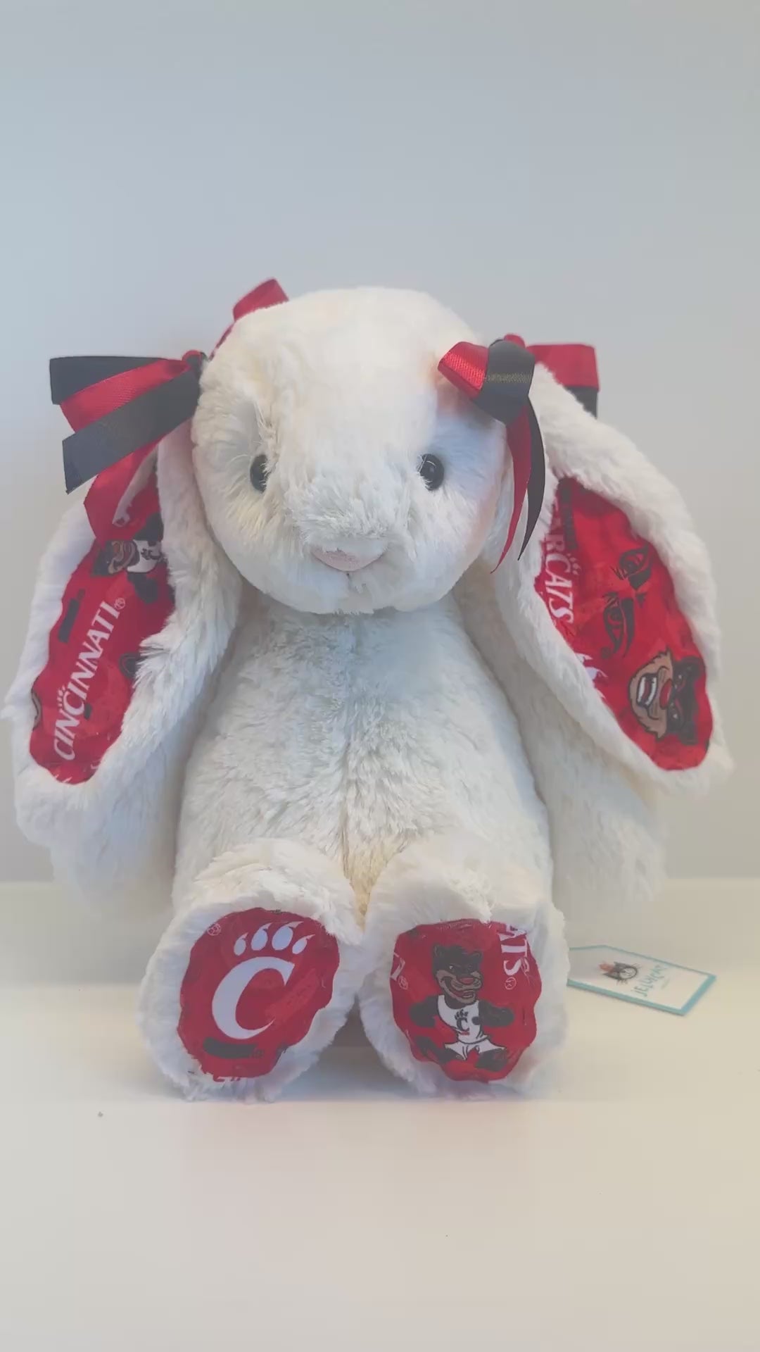 University of Cincinnati Custom College Jellycat Bashful Bunny