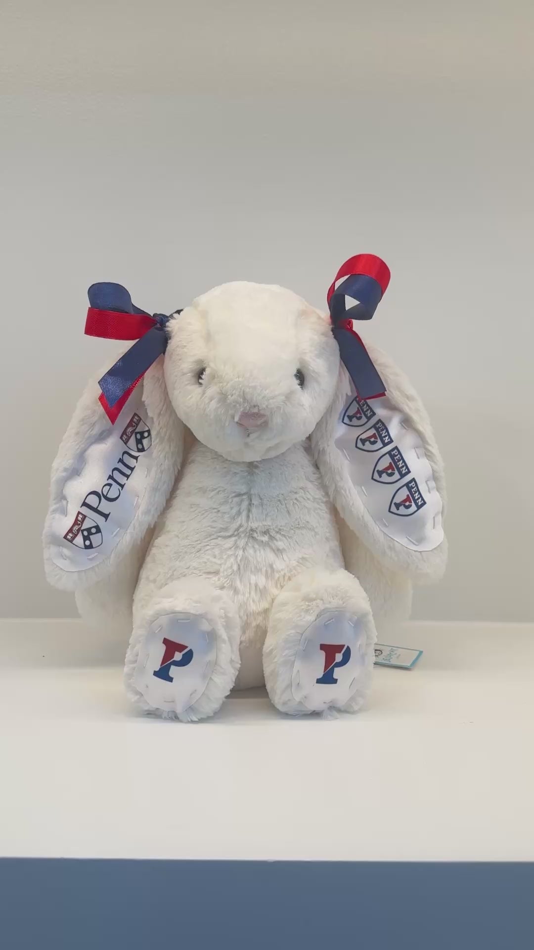 U Penn Custom College Jellycat Bashful Bunny