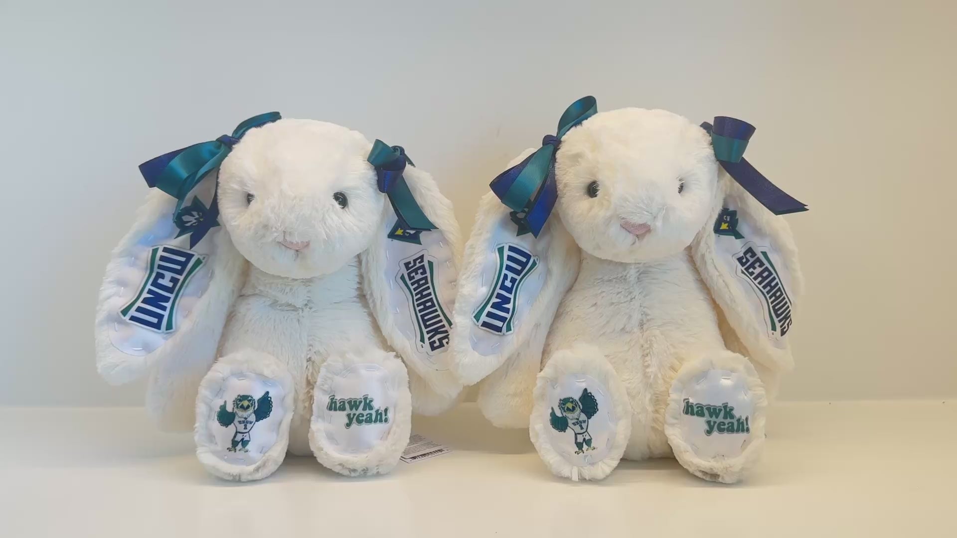 University of North Carolina Wilmington (UNCW) Custom College Jellycat Bashful Bunny