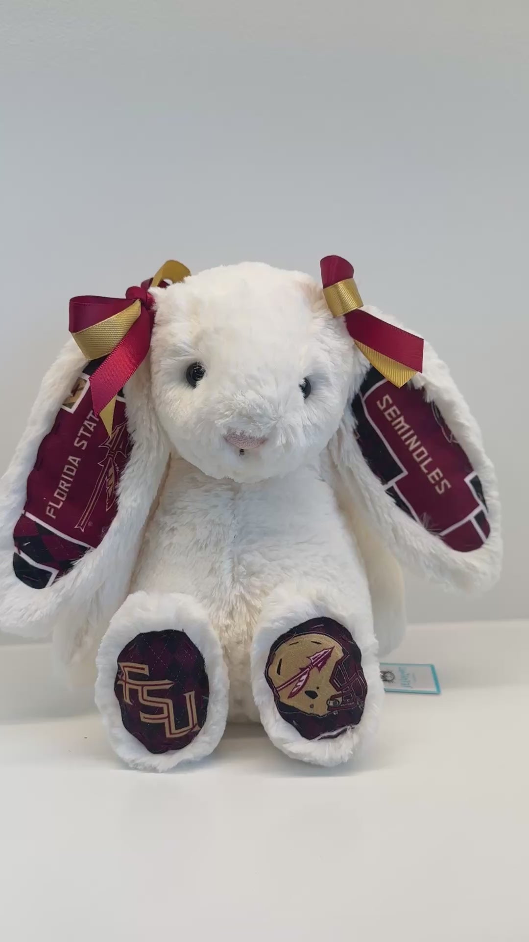Florida State University Custom College Jellycat Bashful Bunny