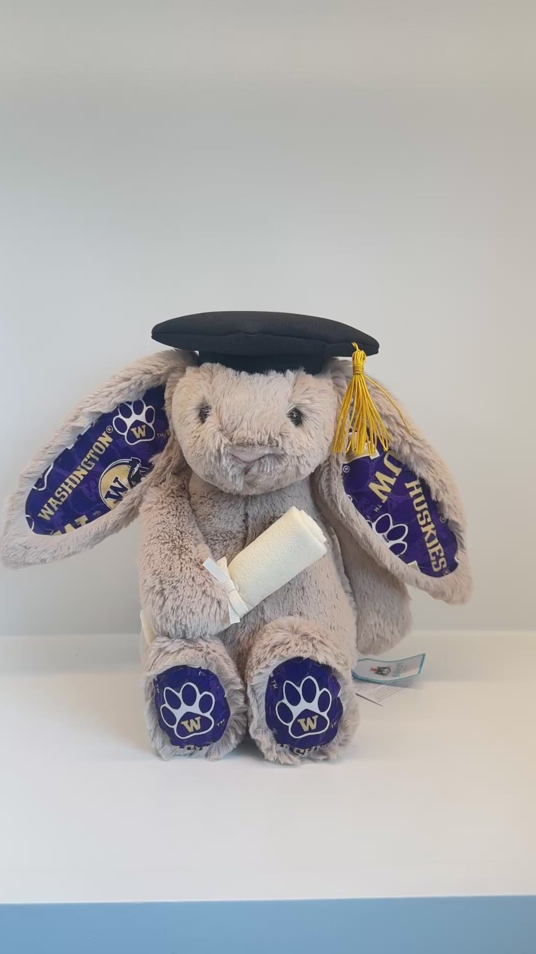 University of Washington College Jellycat Bunny