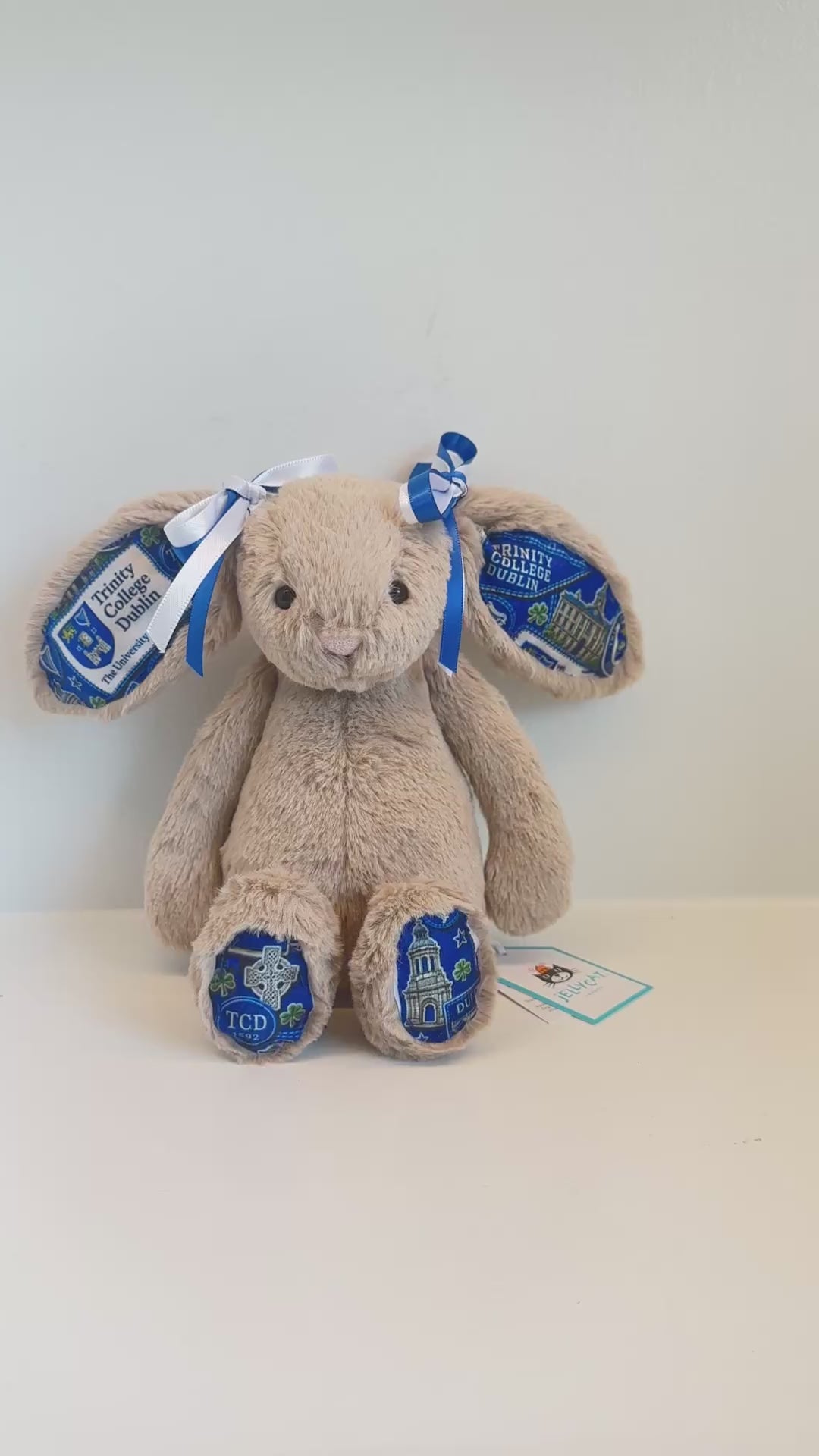 Trinity College Dublin Custom College Jellycat Bunny