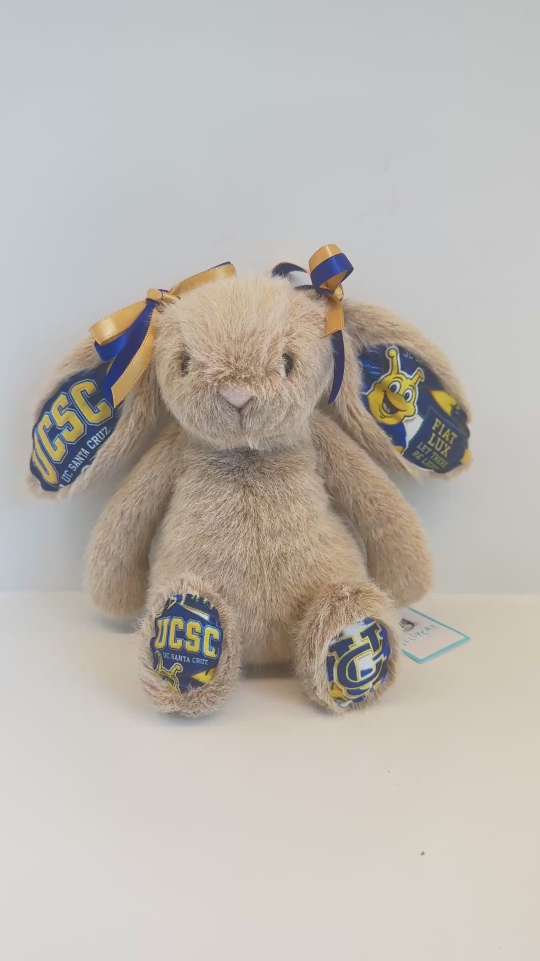 University of California Santa Cruz Jellycat Plush